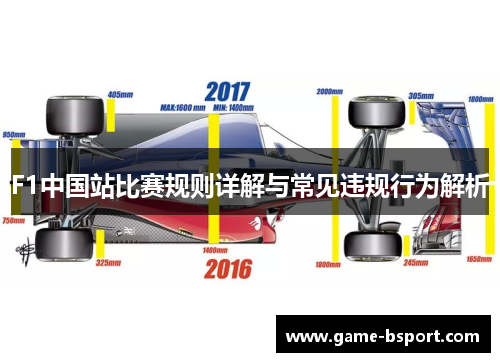 F1中国站比赛规则详解与常见违规行为解析