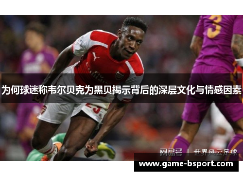 为何球迷称韦尔贝克为黑贝揭示背后的深层文化与情感因素